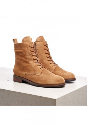 LLOYD ANKLE BOOTS Støvletter Dame Brune | VGT639584