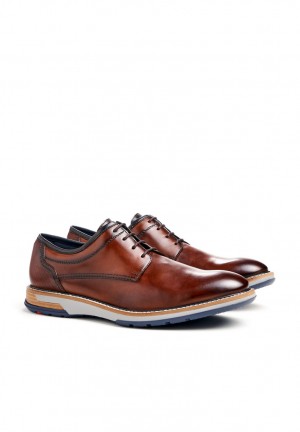 LLOYD DERO Smart shoes Herre Brune | MWG231649