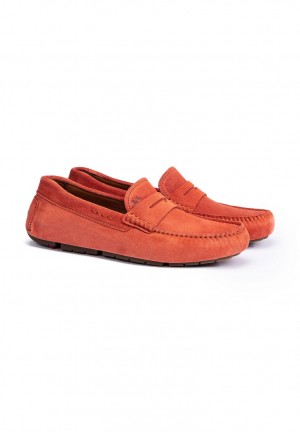 LLOYD ELJOS Slip Ons Herre Gul | MGB592614