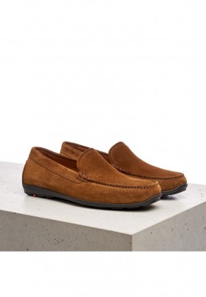 LLOYD EMILIO Slip Ons Herre Brune | VTS305169