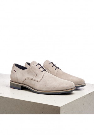 LLOYD LANGSTON Smart shoes Herre Grå | NSI148327