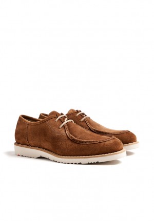 LLOYD LEVI Smart shoes Herre Brune | GXO092518