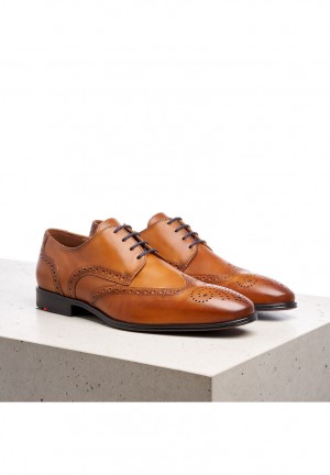 LLOYD MORTON Smart shoes Herre Brune | KWL893175