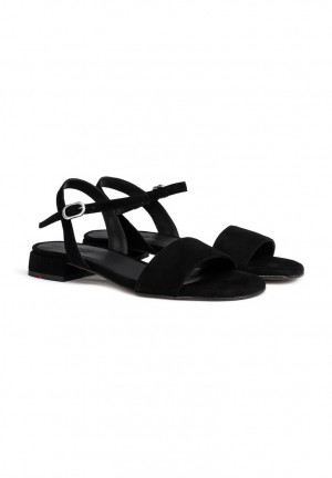 LLOYD SANDALS Sandaler Dame Sort | SYN478216