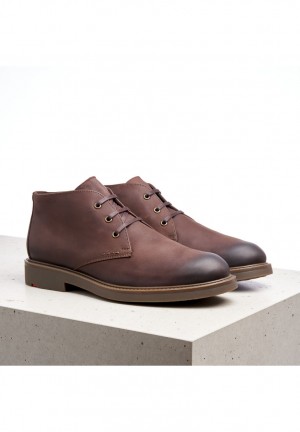 LLOYD SKAL Smart shoes Herre Brune | UYR028674