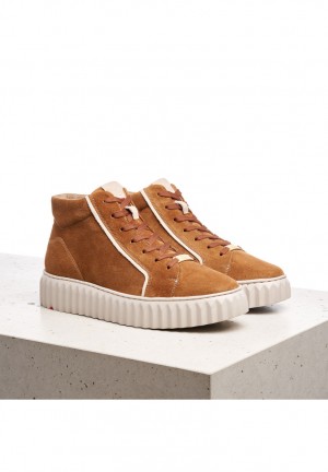 LLOYD SNEAKERS Sportssko Dame Brune | DWR691375