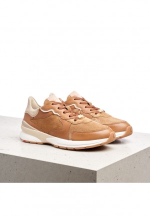 LLOYD SNEAKERS Sportssko Dame Brune | NIC023796