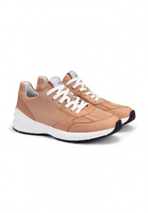 LLOYD SNEAKER Sportssko Dame Brune | RQH675423