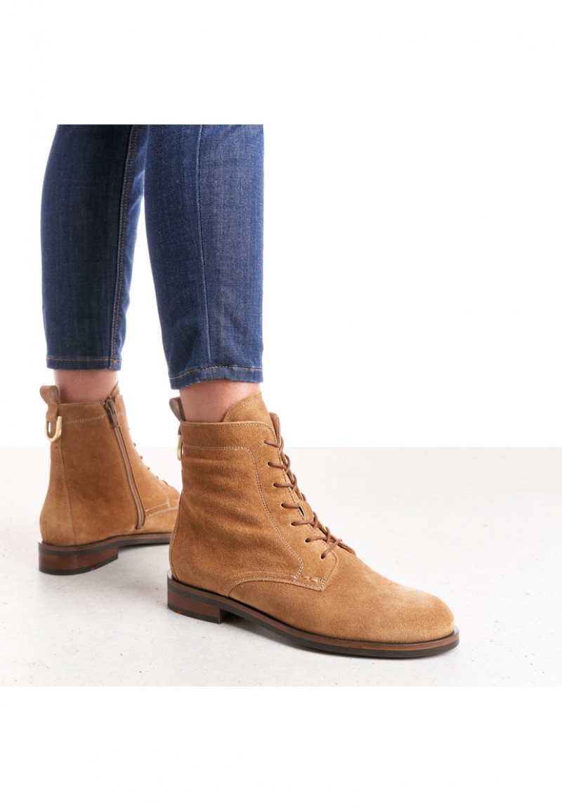 LLOYD ANKLE BOOTS Støvletter Dame Brune | VGT639584