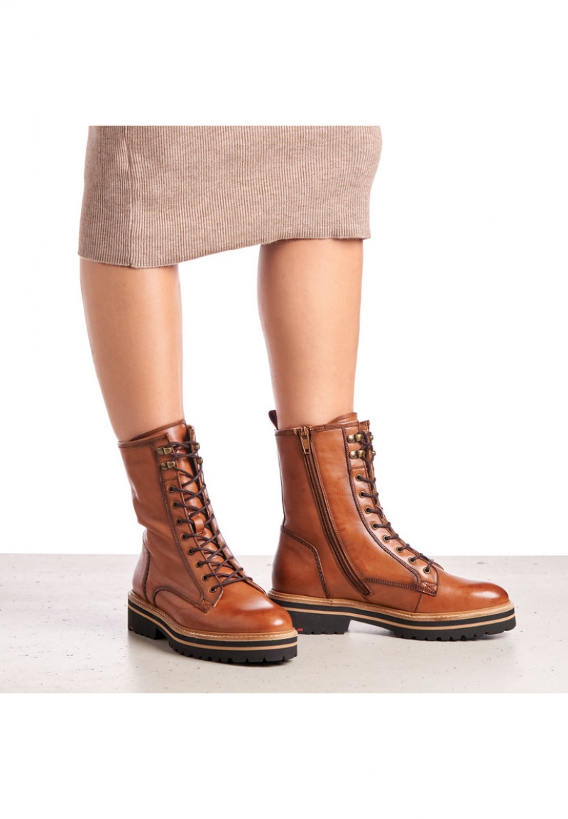 LLOYD ANKLE BOOTS Støvletter Dame Brune | OXA273569