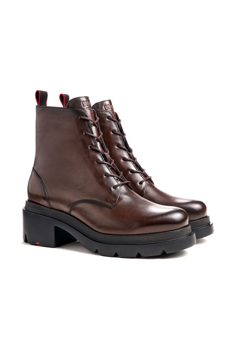 LLOYD ANKLE BOOT Støvletter Dame Brune | ZQV283950