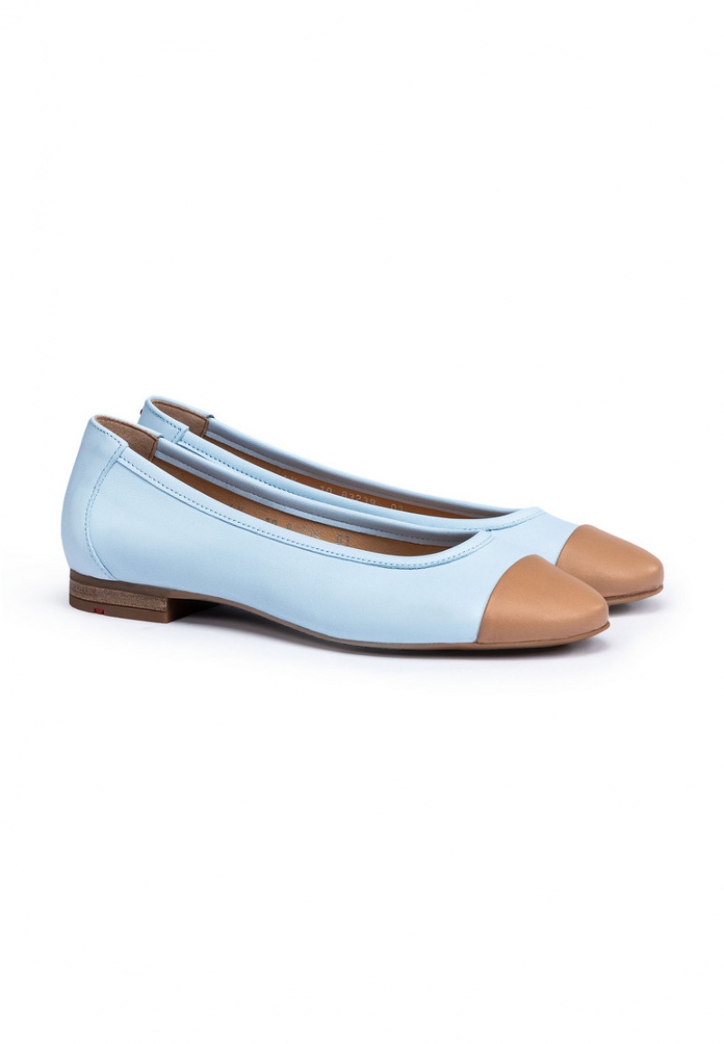 LLOYD BALLERINA Ballerina Sko Dame Brune | IKP759034