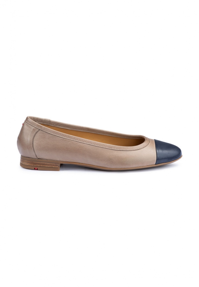 LLOYD BALLERINA Ballerina Sko Dame Brune | LPV578409