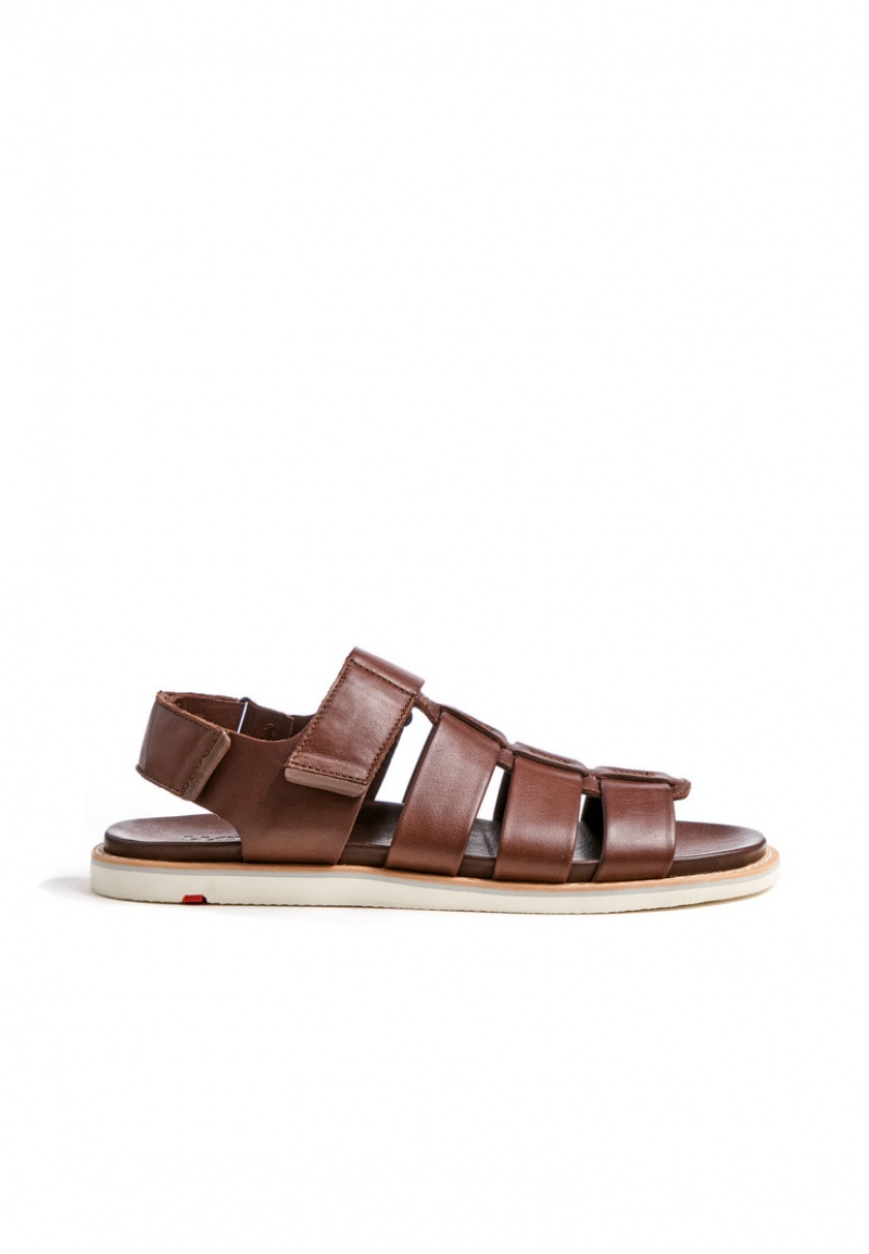 LLOYD ELIMAR Sandaler Herre Brune | VLX710625