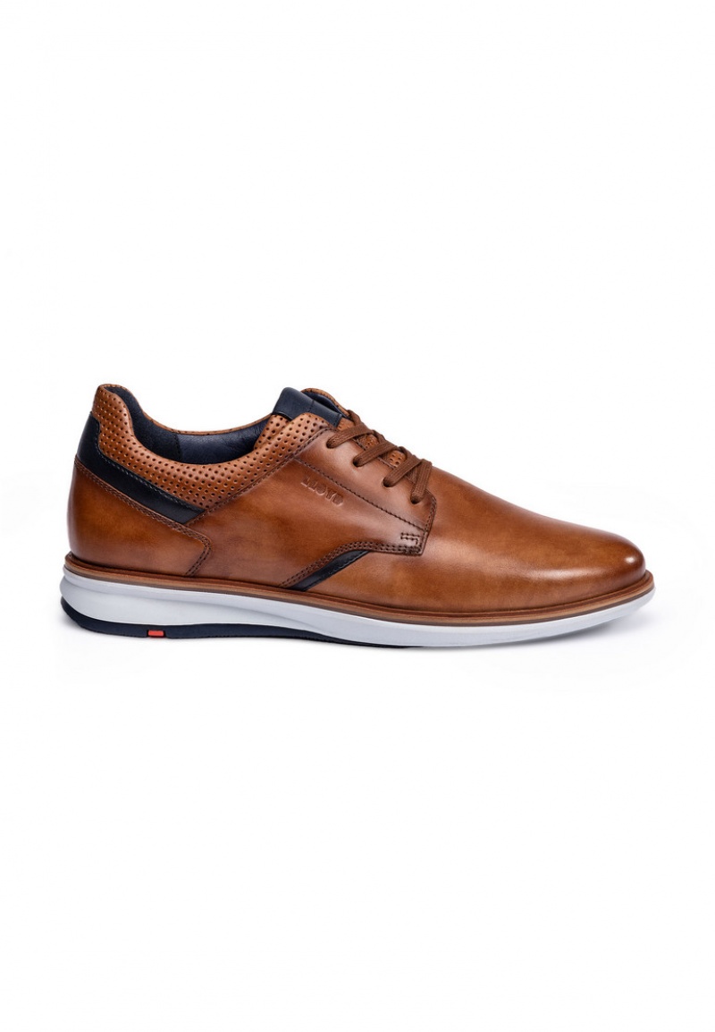 LLOYD KAYOR Low shoes Herre Brune | PZF561879