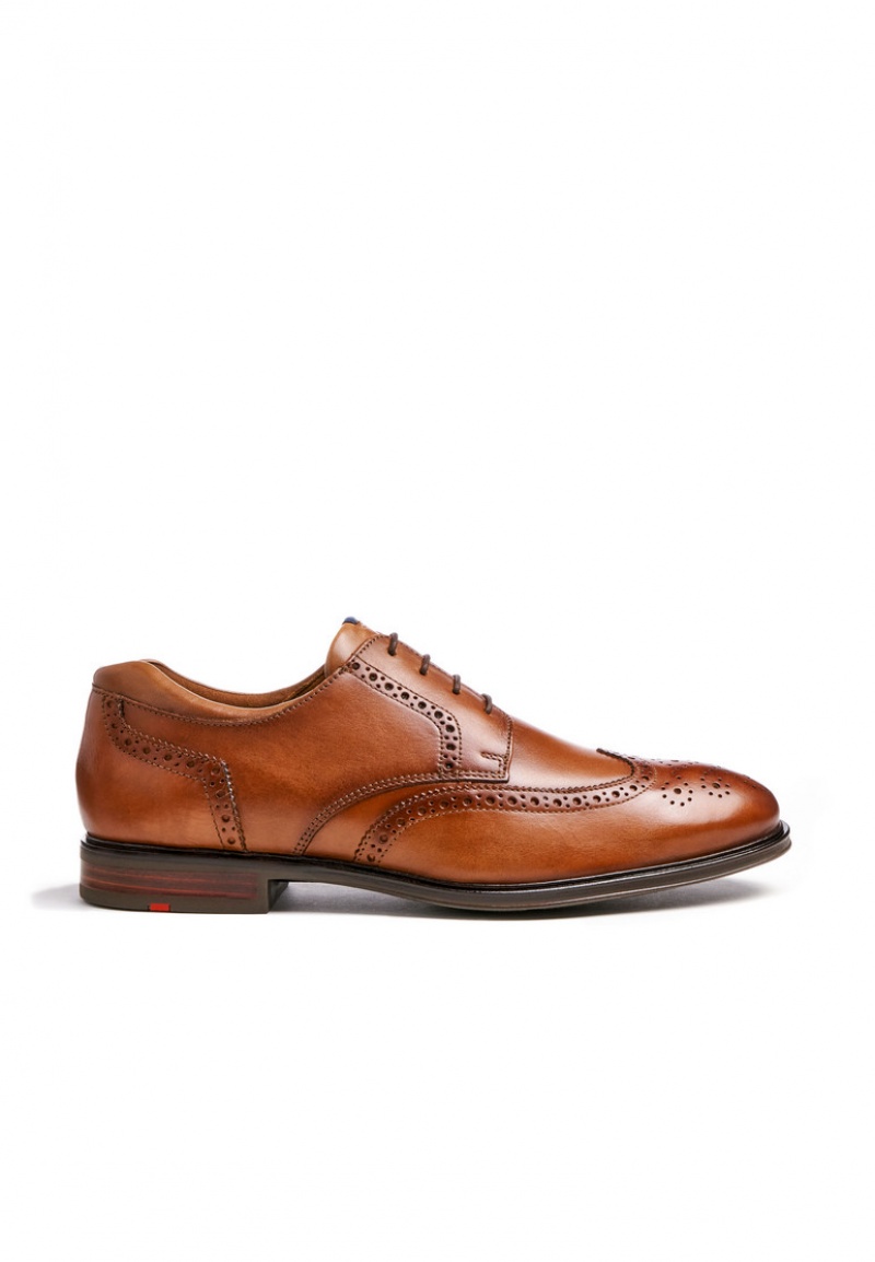 LLOYD MARIAN Smart shoes Herre Brune | NAQ531706