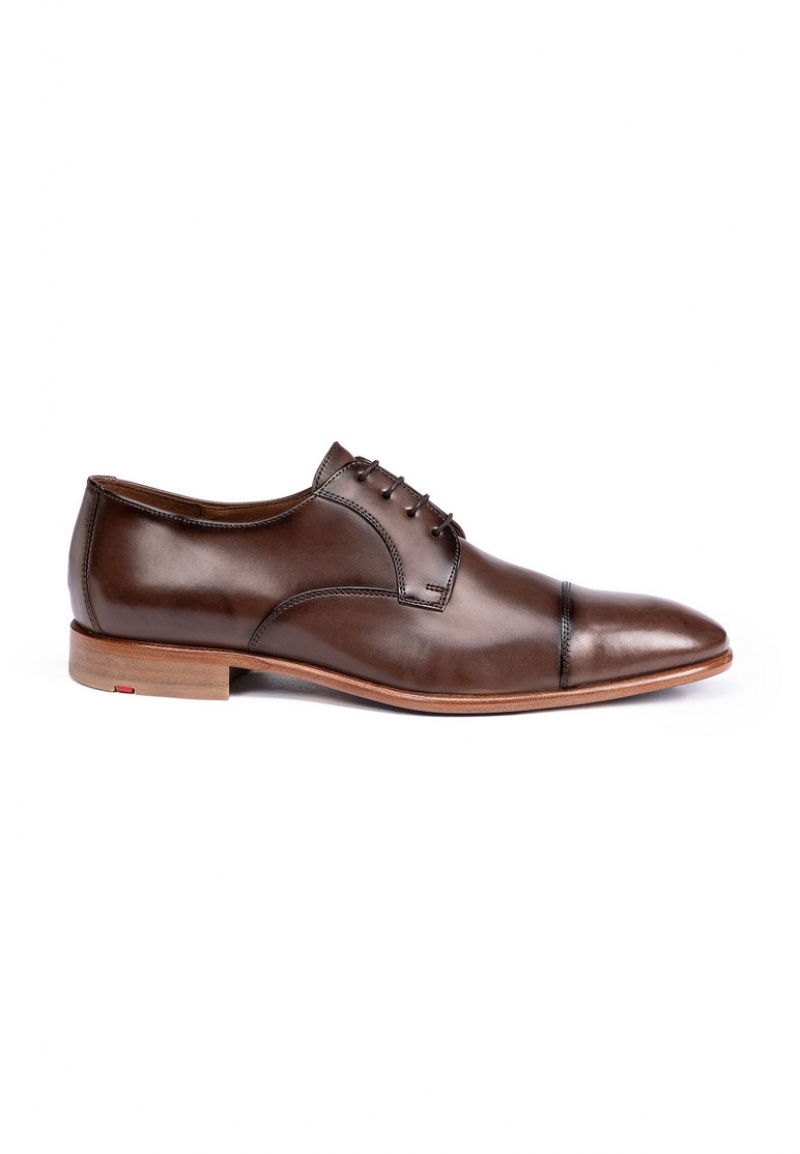 LLOYD NEWPORT Smart shoes Herre Brune | VBG618094