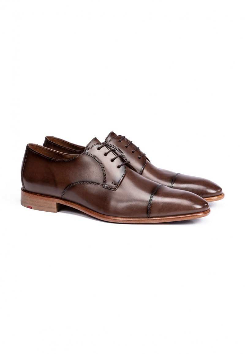 LLOYD NEWPORT Smart shoes Herre Brune | VBG618094