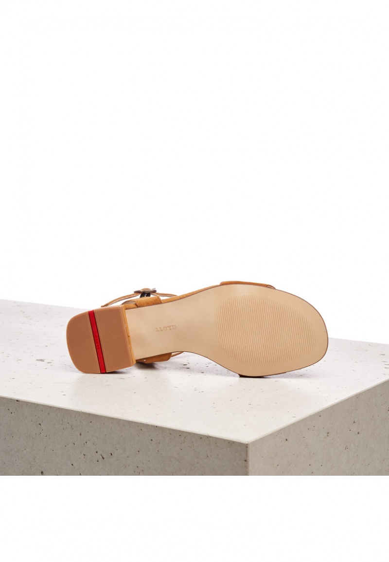 LLOYD SANDALE Sandaler Dame Brune | HWJ701425