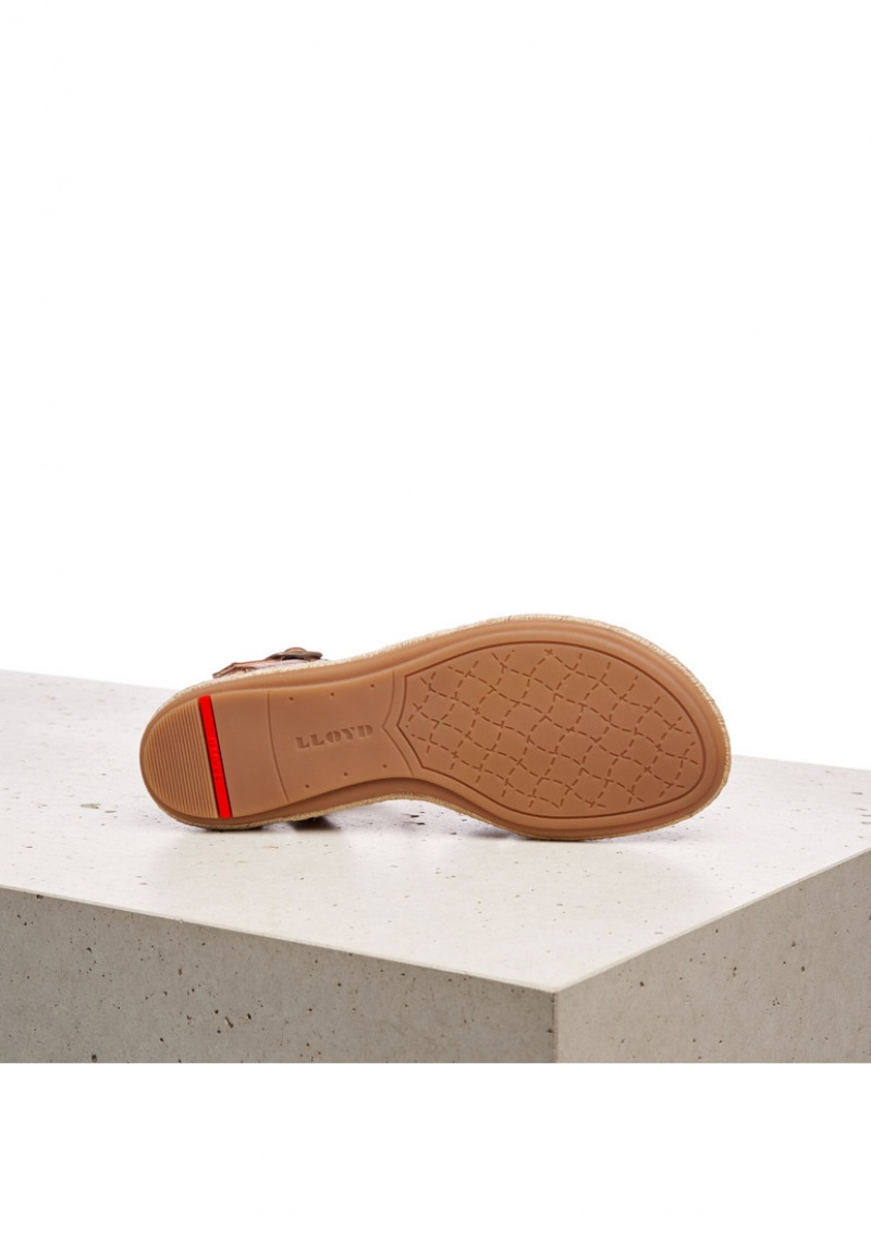 LLOYD SANDALE Sandaler Dame Brune | IQU490638