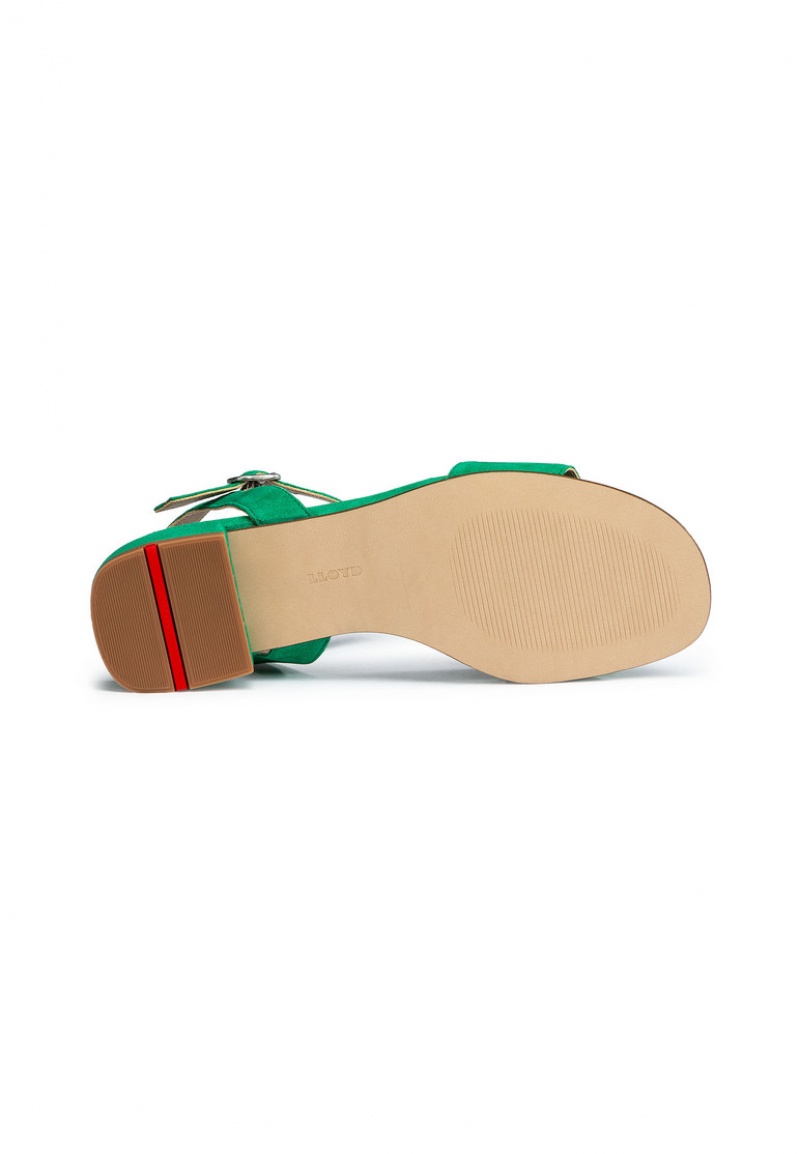 LLOYD SANDALS Sandaler Dame Grøn | TXL723608