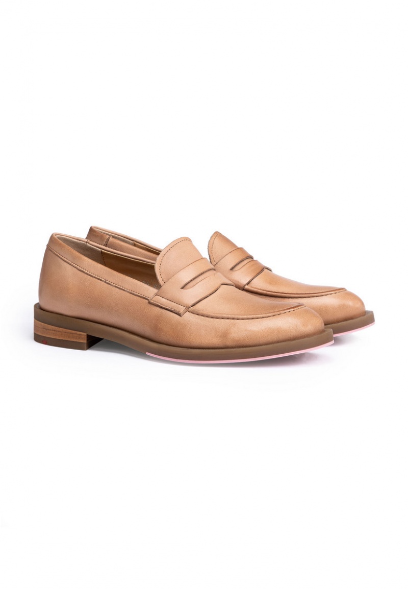 LLOYD SLIPPER Smart shoes Dame Brune | CUG812907