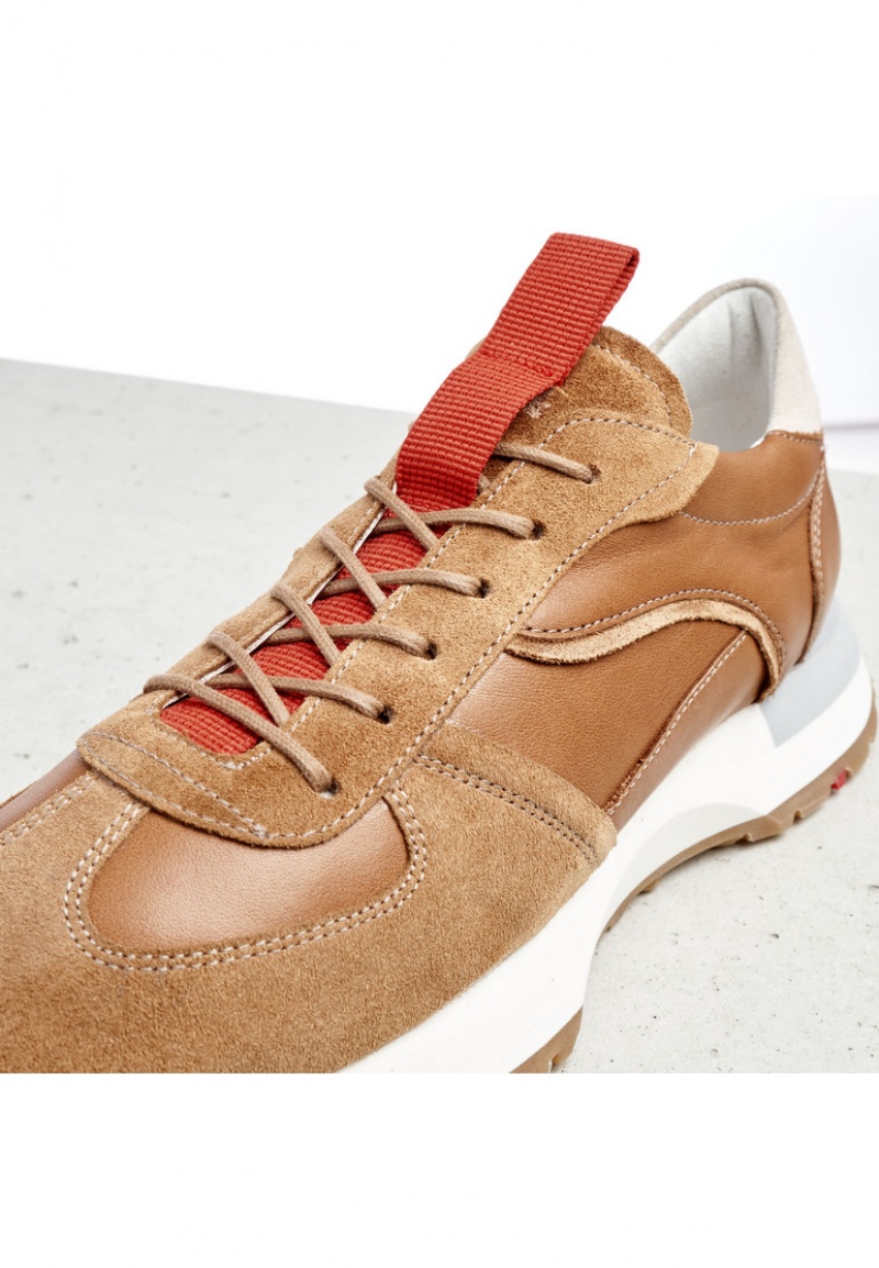 LLOYD SNEAKERS Sportssko Dame Brune | OCD804631