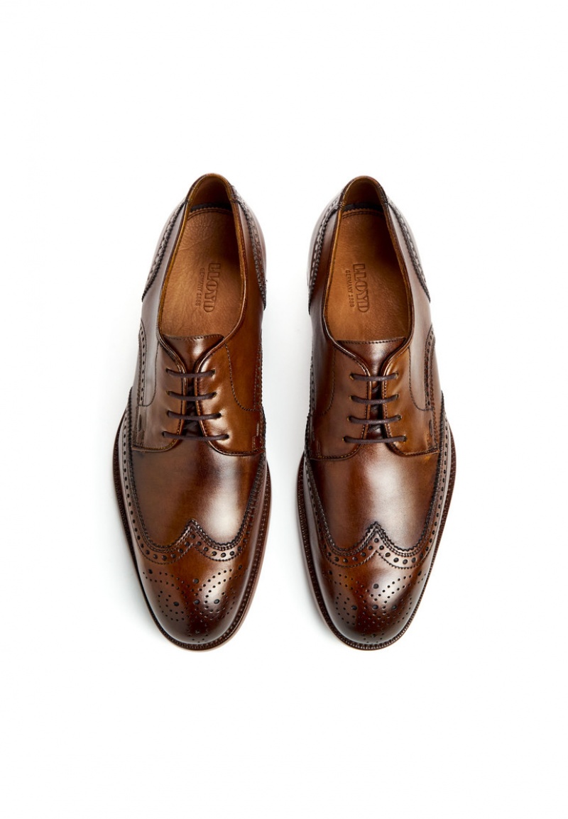 LLOYD STAFFORD Smart shoes Herre Brune | FEB378124