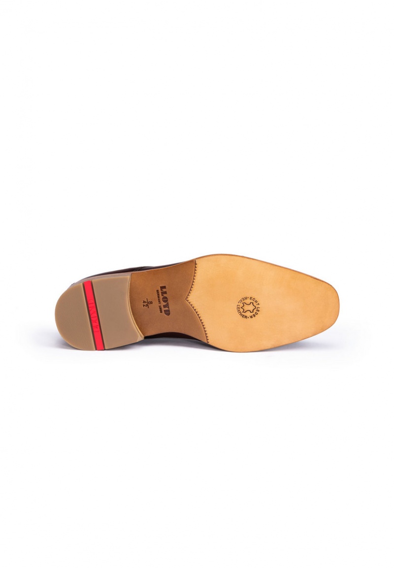 LLOYD STEWARD Smart shoes Herre Brune | TOM128974