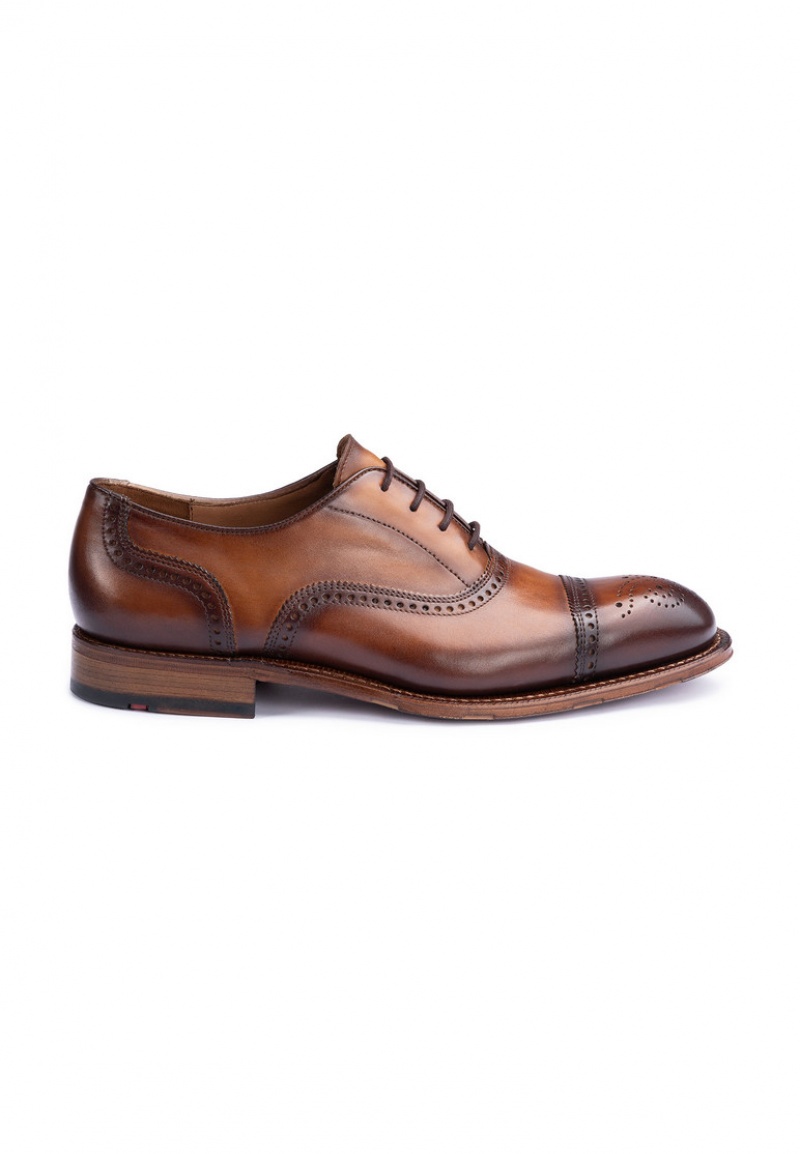 LLOYD WATERLOO Smart shoes Herre Brune | YVF840925